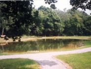 <p>Teich im Park rund um Derenburg</p>